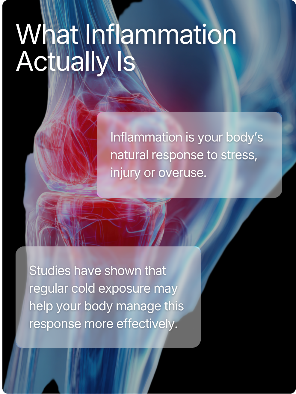 What inflammation actually is: regular cold exposure may help your body manage the inflammatory response